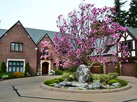 The motor-court area with the Magnolia tree, ‘Maggie’, in place.