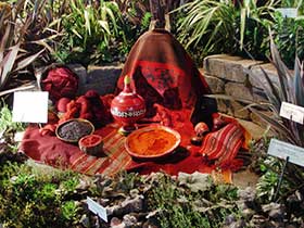 ‘La Pilabra Pintada’, a collaboration with Nick Bantock. The cochineal spice display.