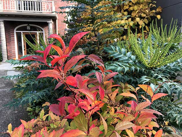 Bigelow front view in fall