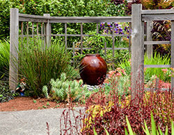 The fountain is the focal point for this small West Seattle front garden The fountain is the focal point for this small West Seattle front garden